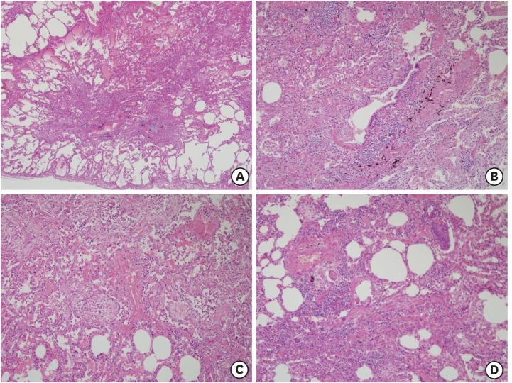 aoem-32-e1-g003.jpg