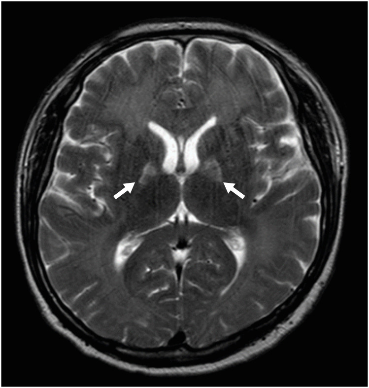 aoem-34-e19-g001.jpg