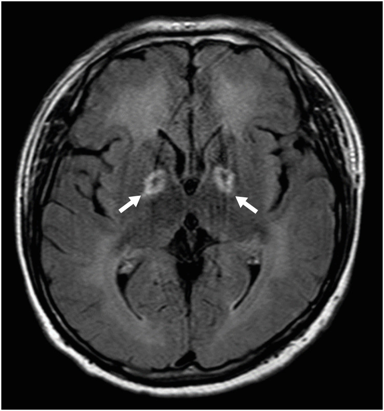 aoem-34-e19-g002.jpg